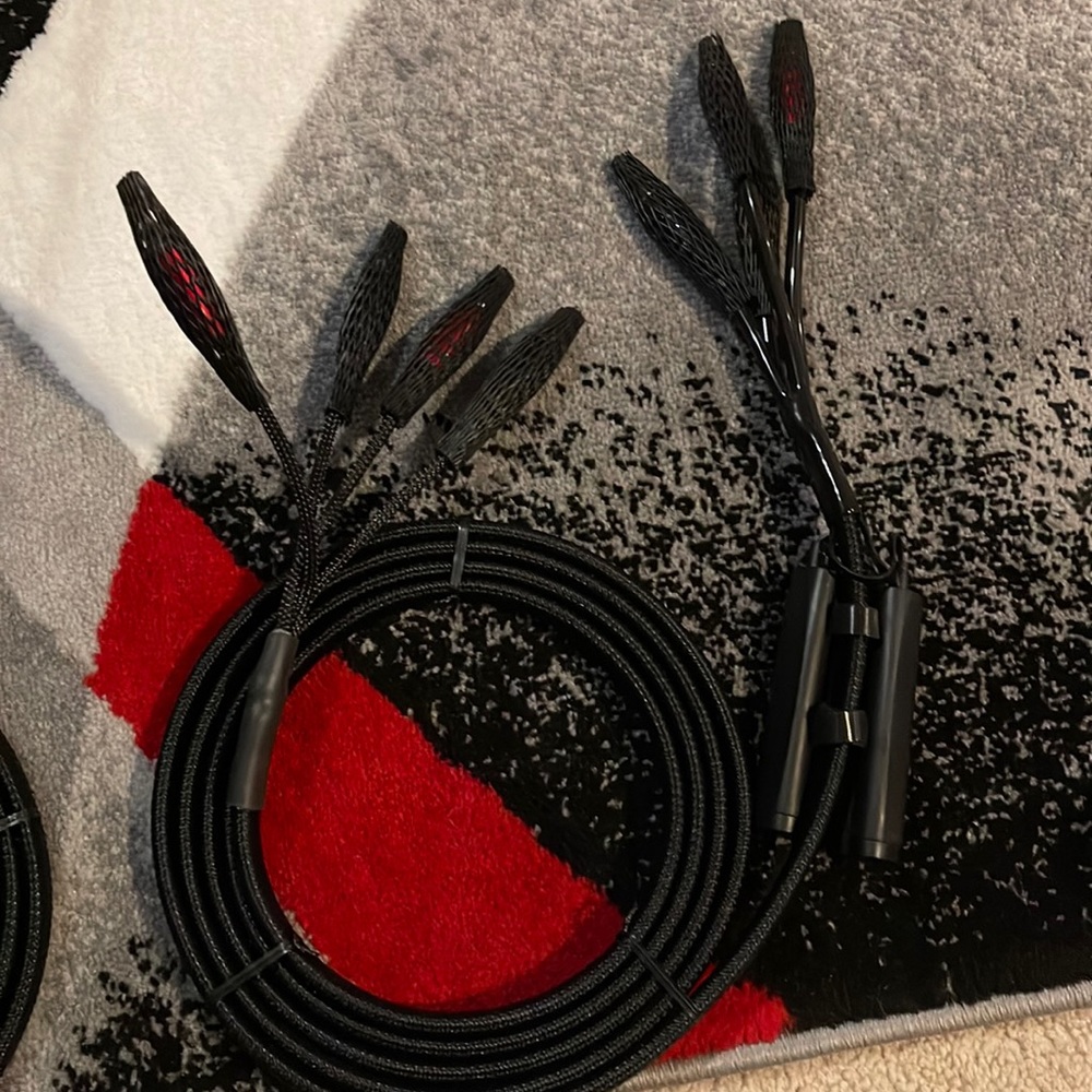 10FT PR Rocket 88 biamp BFAS Audi quest